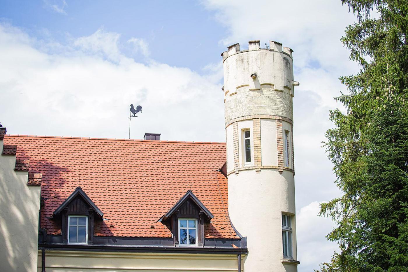 Schloss Suggenstein Зигмаринген Экстерьер фото
